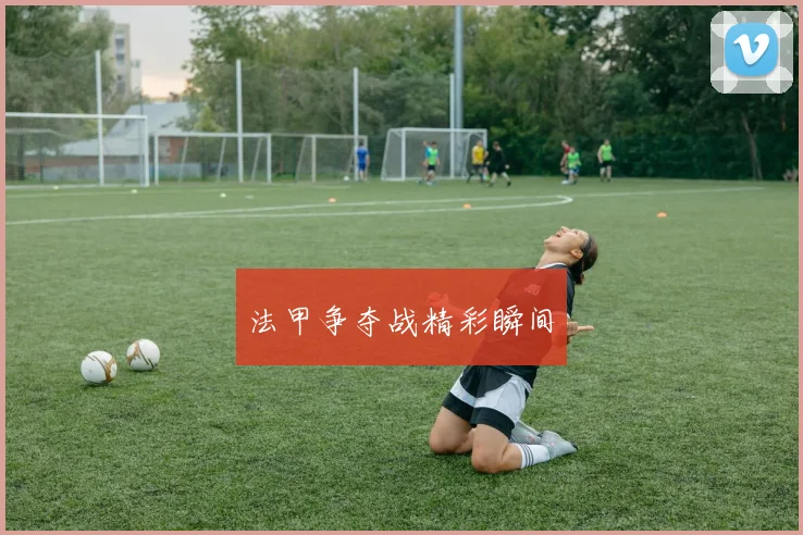 法甲争夺战精彩瞬间