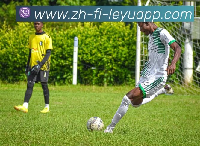 乐鱼体育APP 封面图